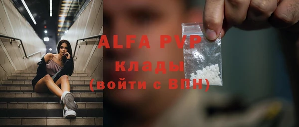 экстази Бородино