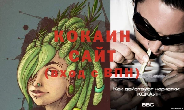 экстази Бородино
