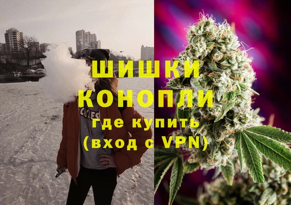 экстази Бородино