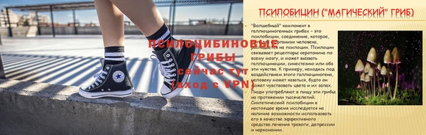 экстази Бородино